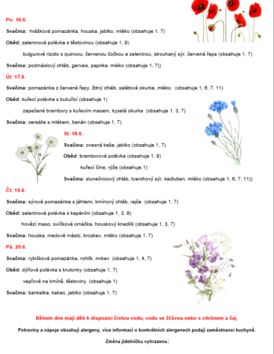 form17062025